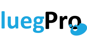 Logo des Lueg Projektjahres